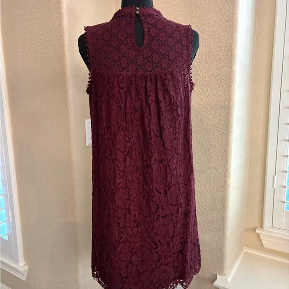 Xhilaration Burgundy Lace Mini Dress - Picture 3 of 7